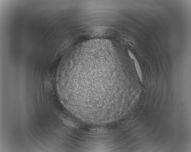 X0000062860503200601271533