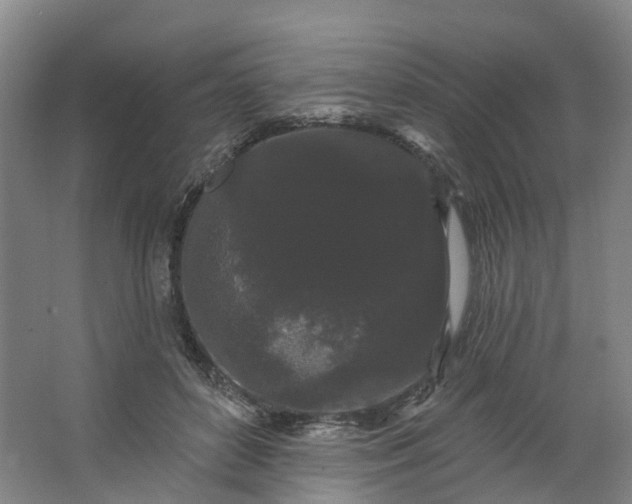 X0000062860504200601271533