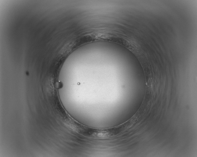 X0000062860506200601271533