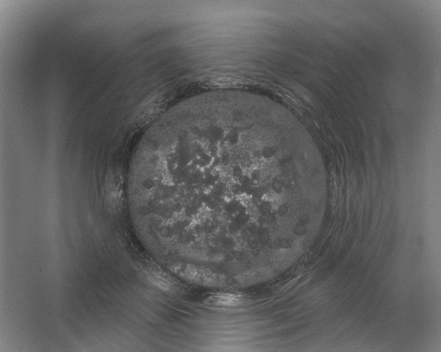 X0000062860507200601271533