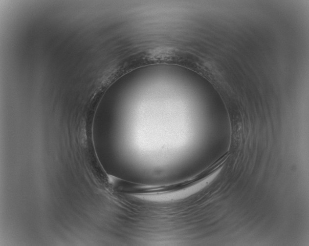 X0000062860508200601271533