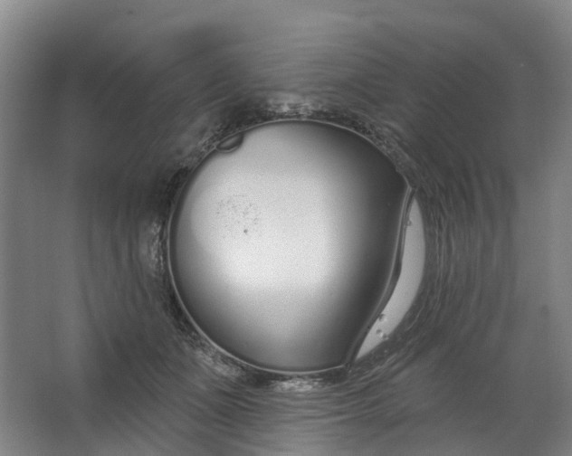 X0000062860511200601271533