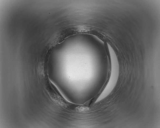 X0000062860512200601271533