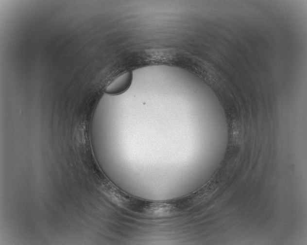 X0000062860514200601271533