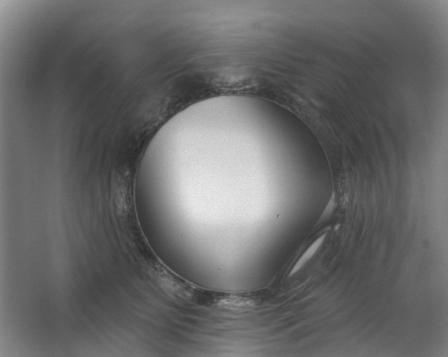 X0000062860515200601271533