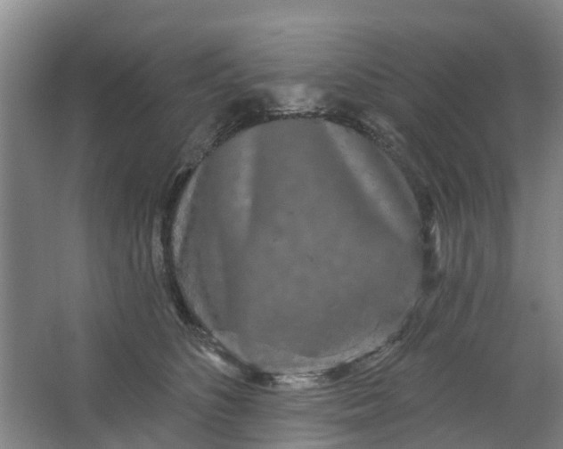 X0000062860516200601271533