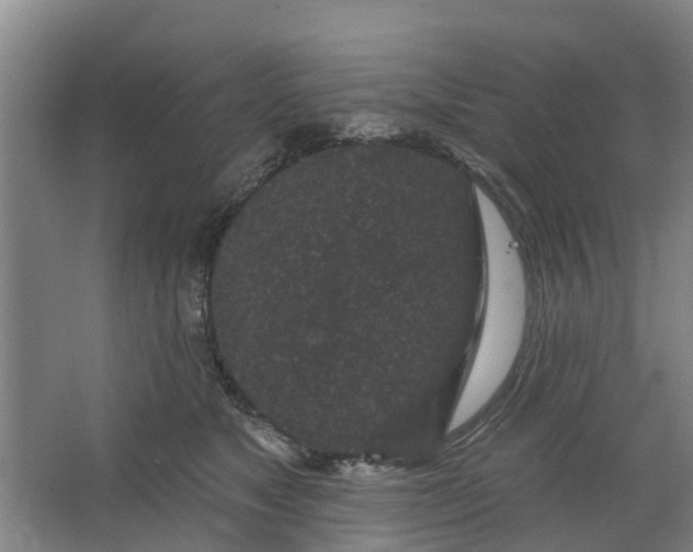 X0000062860517200601271533