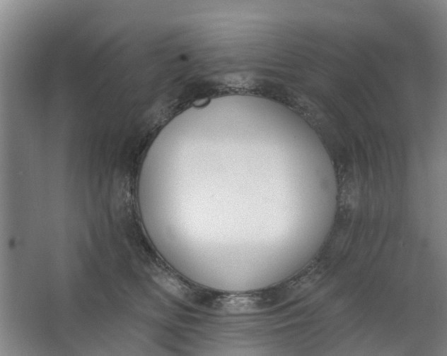 X0000062860518200601271533