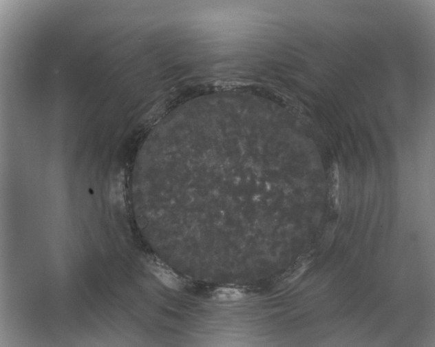 X0000062860519200601271533