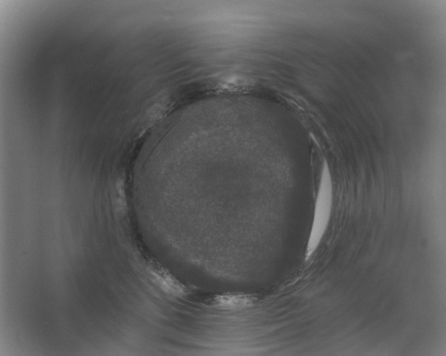 X0000062860520200601271533