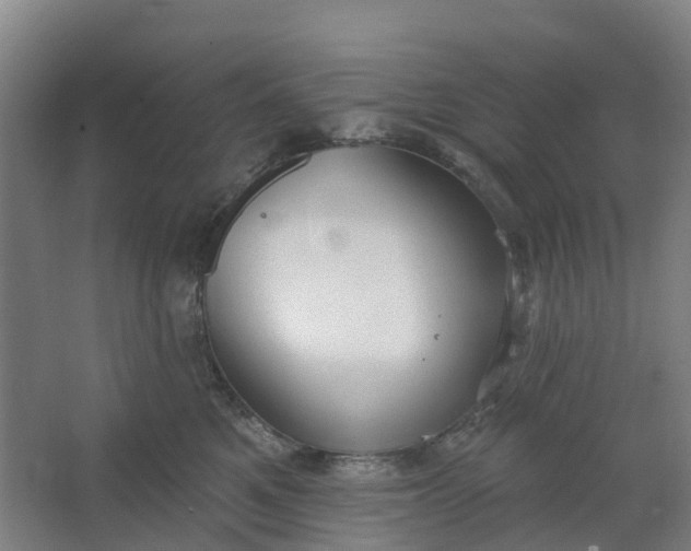 X0000062860521200601271533