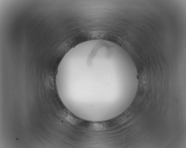 X0000062860522200601271533