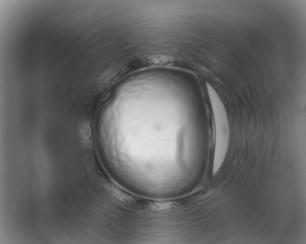 X0000062860523200601271533