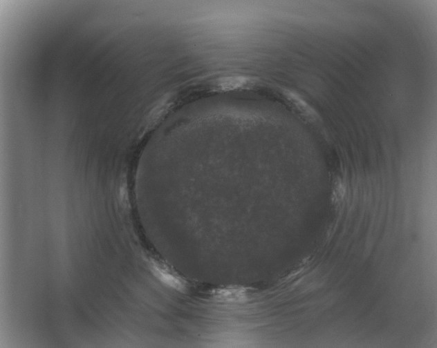 X0000062860524200601271533