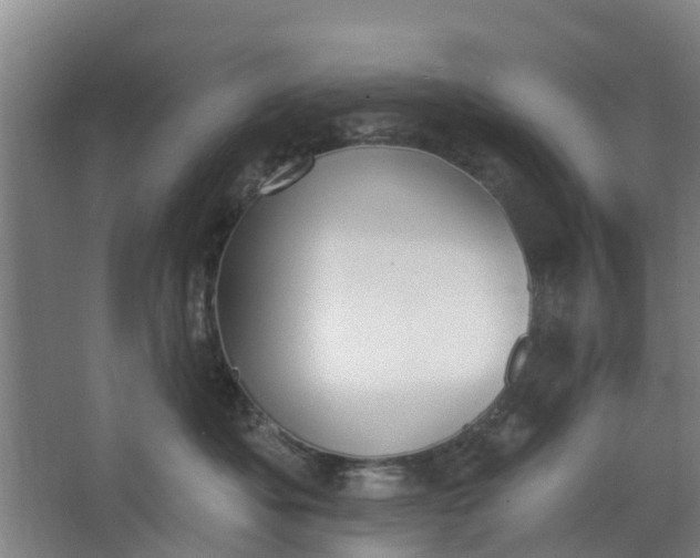 X0000062860525200601271533