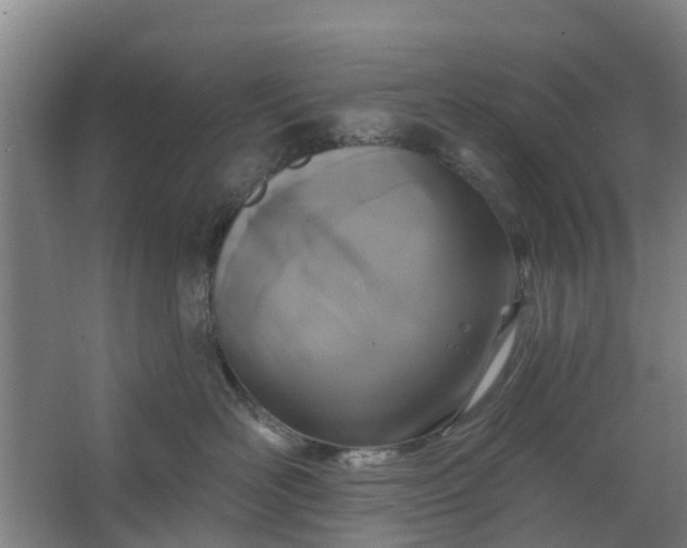 X0000062860526200601271533