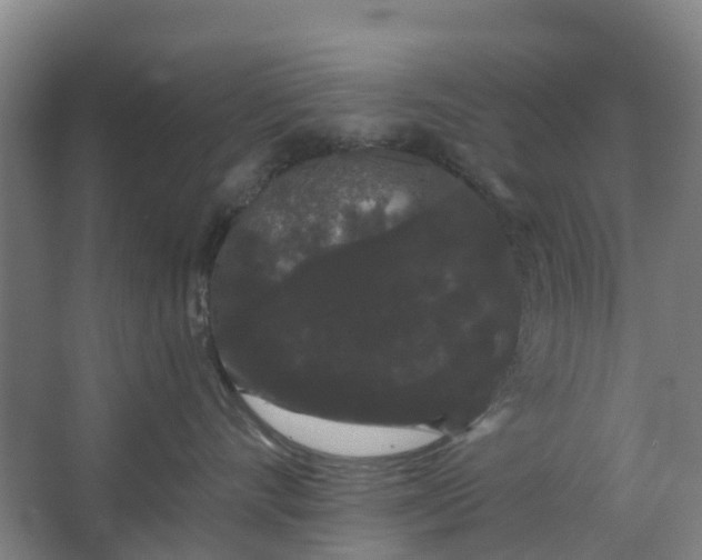 X0000062860528200601271533