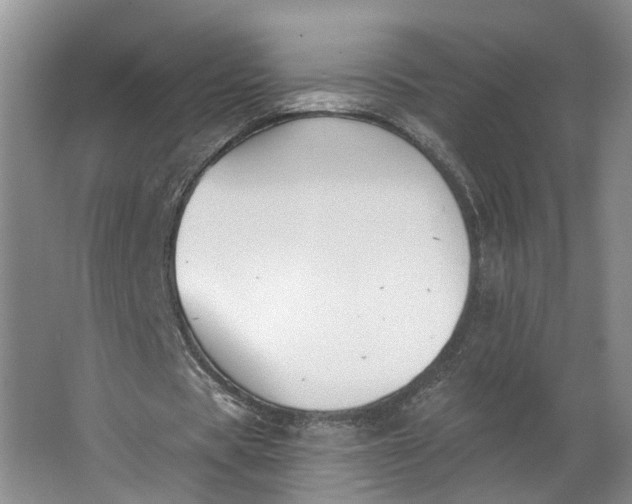 X0000062860529200601271532