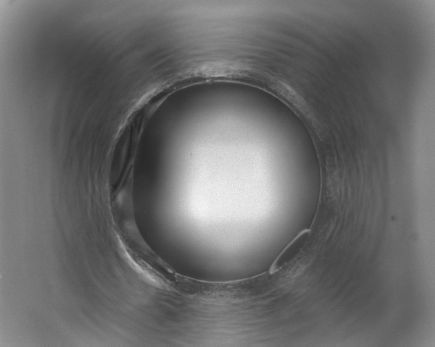 X0000062860530200601271532