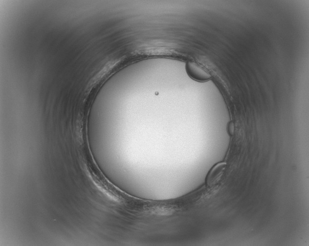 X0000062860533200601271532