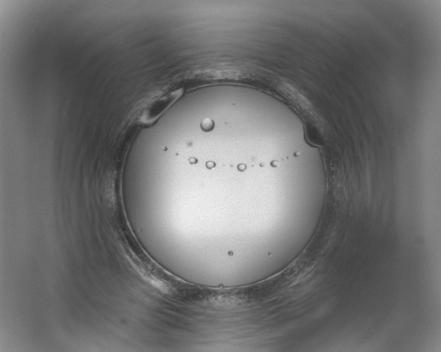 X0000062860537200601271532