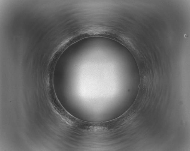 X0000062860539200601271532