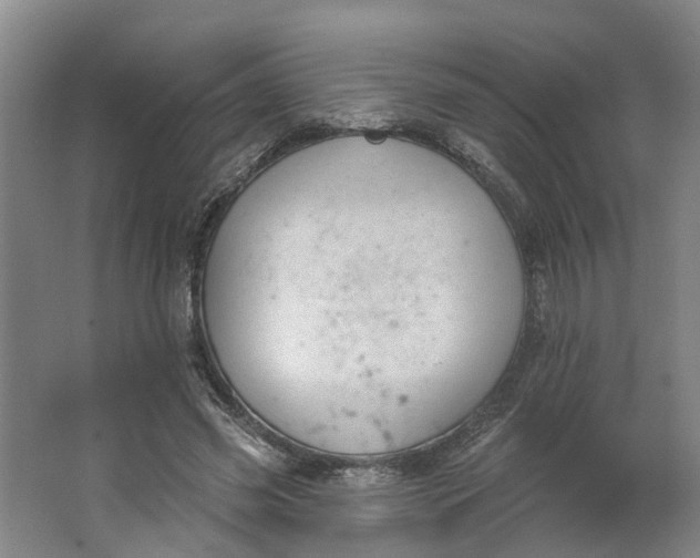 X0000062860541200601271532