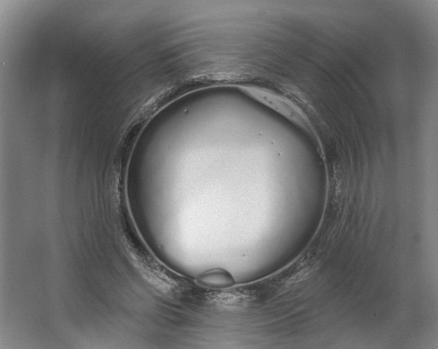 X0000062860542200601271532