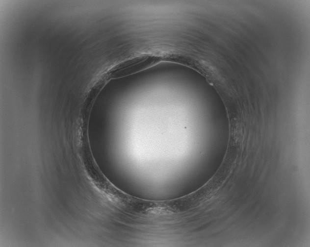 X0000062860544200601271532