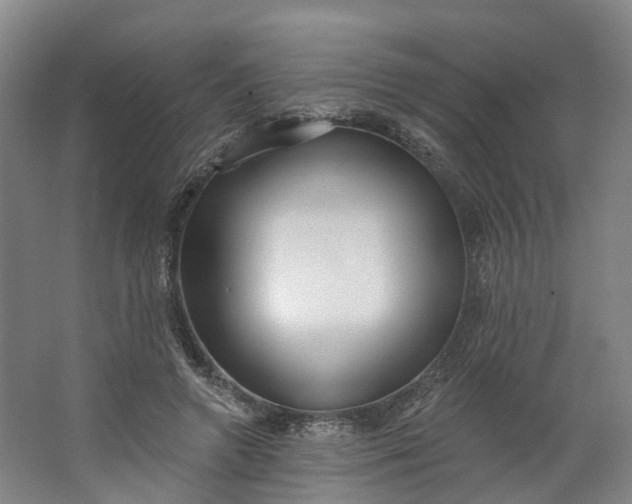 X0000062860546200601271533