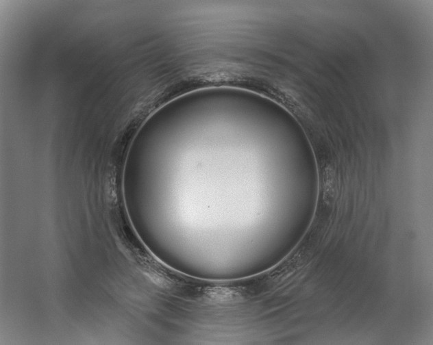 X0000062860547200601271533