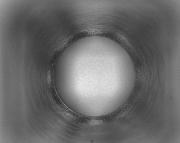 X0000062860549200601271533