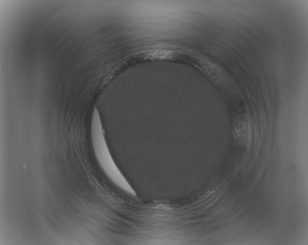 X0000062860551200601271533