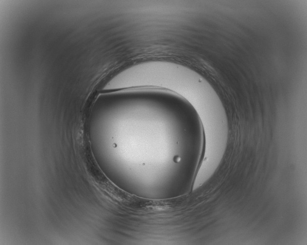 X0000062860552200601271533