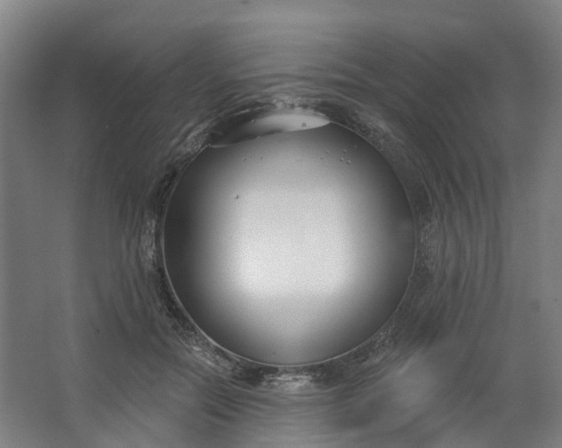 X0000062860554200601271533