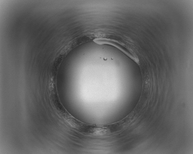 X0000062860555200601271533