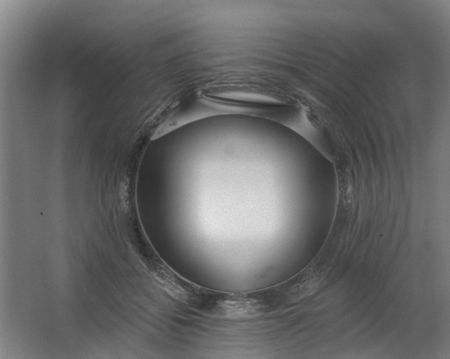 X0000062860556200601271533