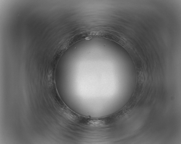 X0000062860557200601271533