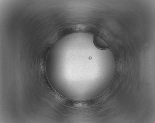 X0000062860561200601271533