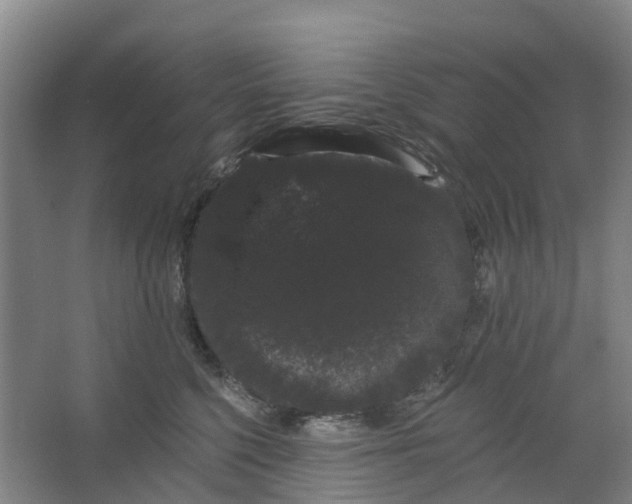 X0000062860568200601271533