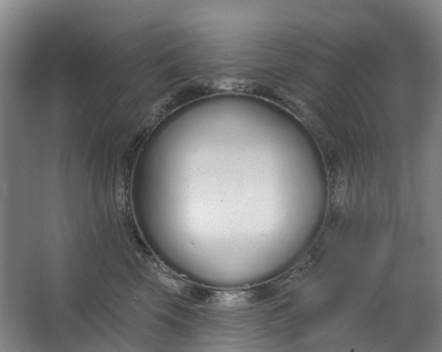 X0000062860569200601271533