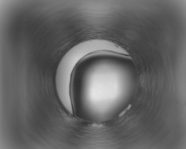 X0000062860570200601271533