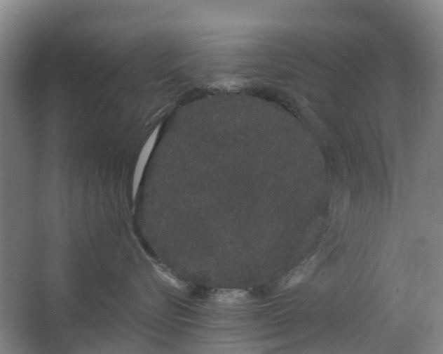 X0000062860576200601271533