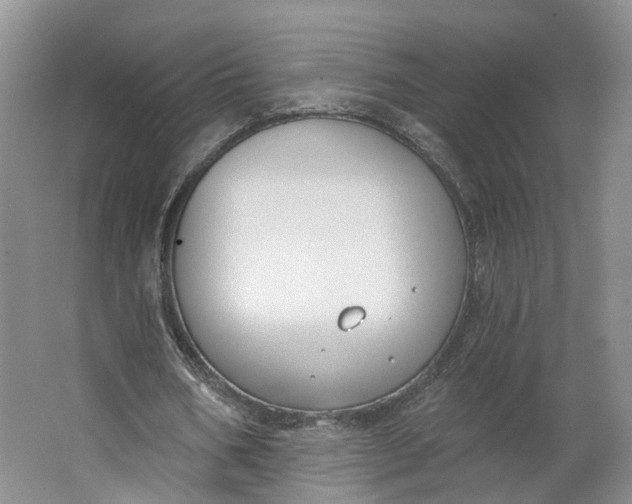 X0000062860578200601271532