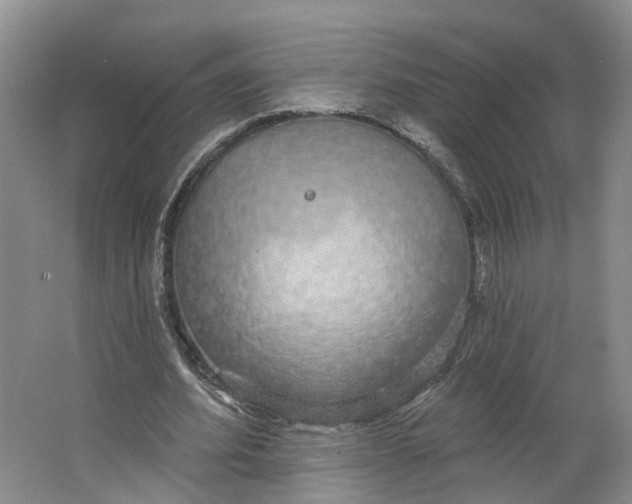 X0000062860580200601271532