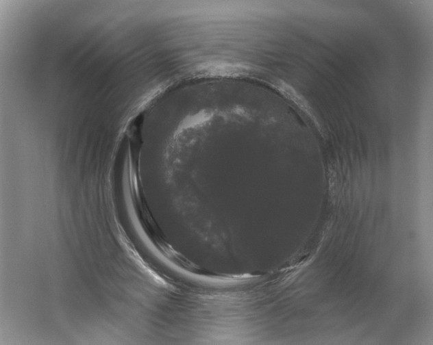 X0000062860581200601271532