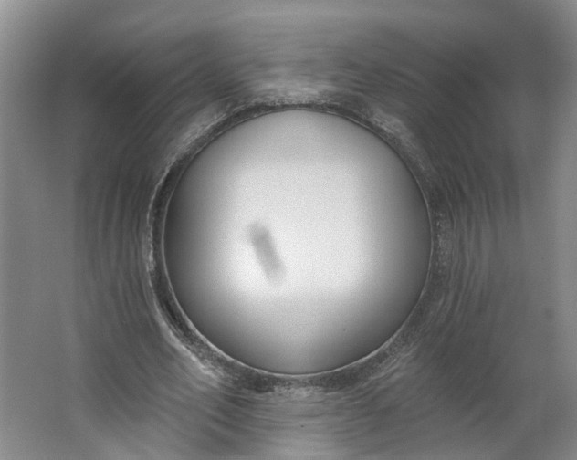 X0000062860582200601271532