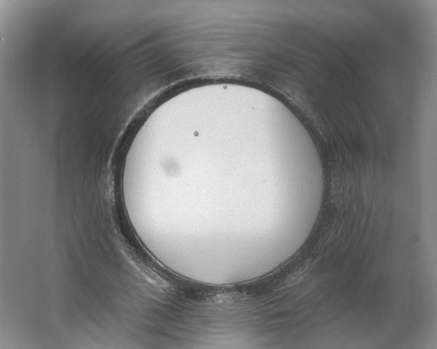 X0000062860584200601271532