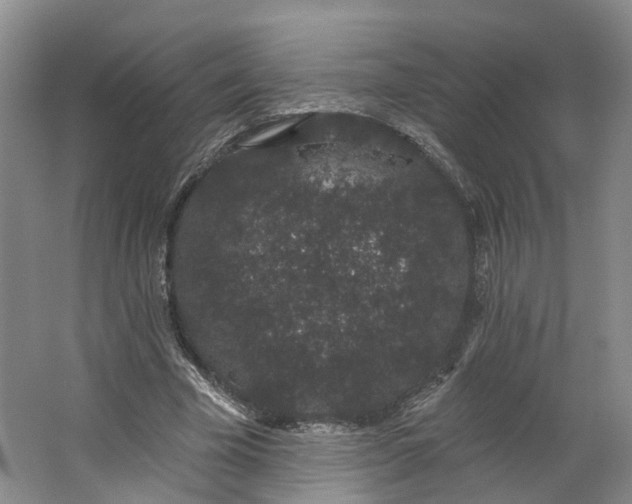 X0000062860585200601271532