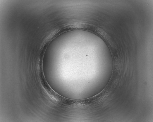 X0000062860586200601271532